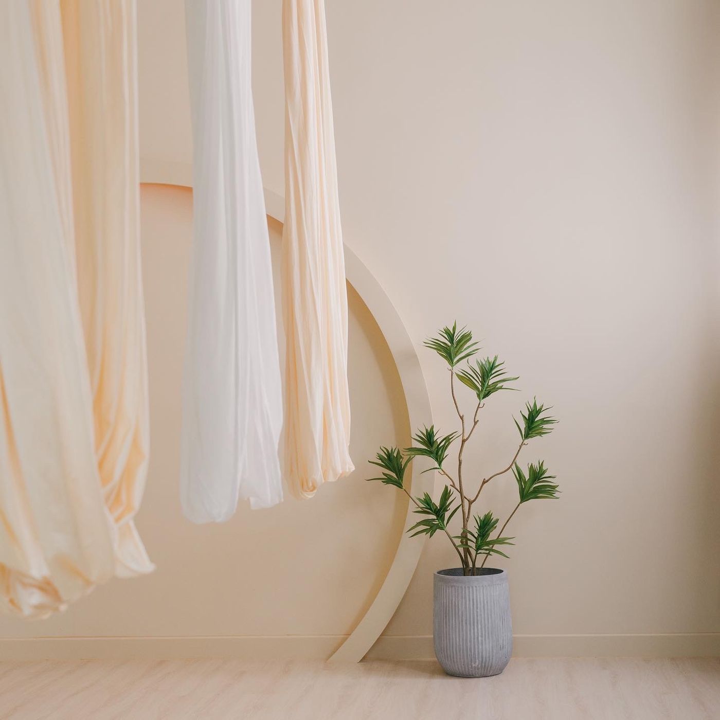 Aerial hammocks studio