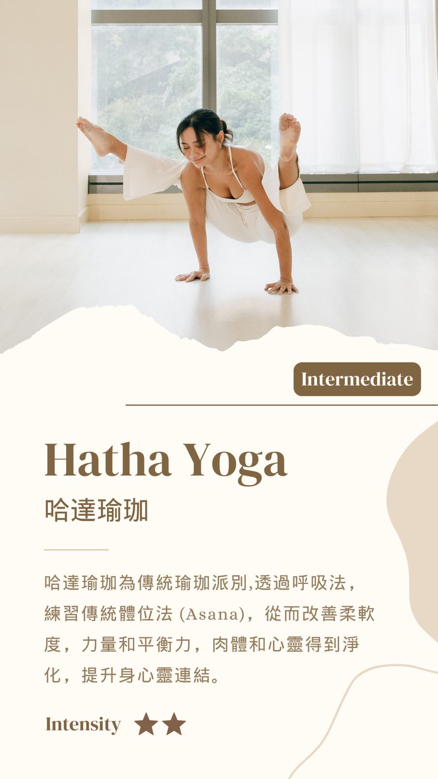 Hatha / Aerial Yoga