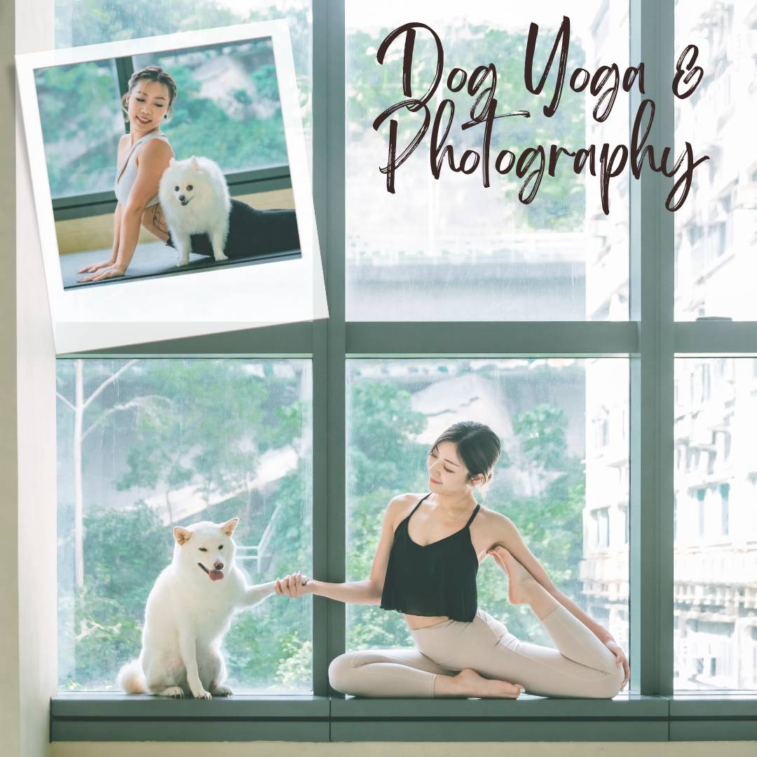 Dog Yoga & Photography